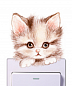 Наклейка "Котёнок Милаш". Наклейка на розетку выключатель